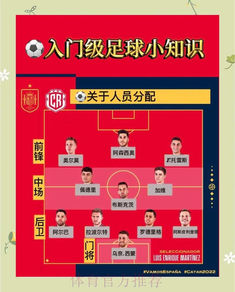 全面解析世界杯体育平台选择指南